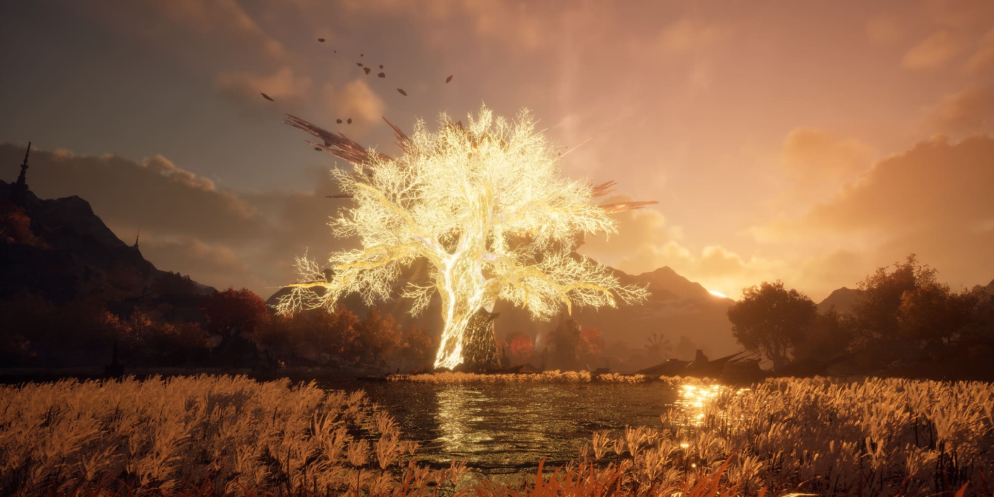 Golden Autumn Lake Fishing & Herb Campsite